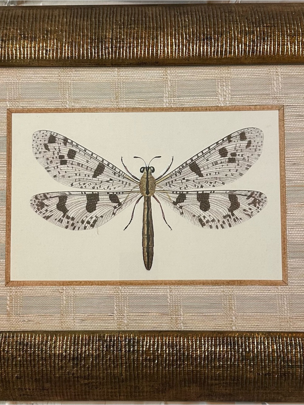 Framed Dragonfly Wall Art in Gold and Brown